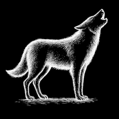 Preject Wolf logo
